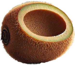 Saftige Kiwi – Exotische Frucht mit süß-säuerlichem Geschmack