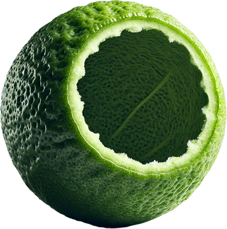 Erfrischende Limette – Spritzige Zitrusnote für intensiven Geschmack